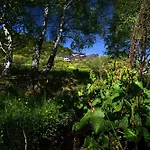 Sancy
