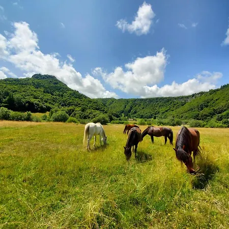 Sancy 3* Chambon-sur-Lac