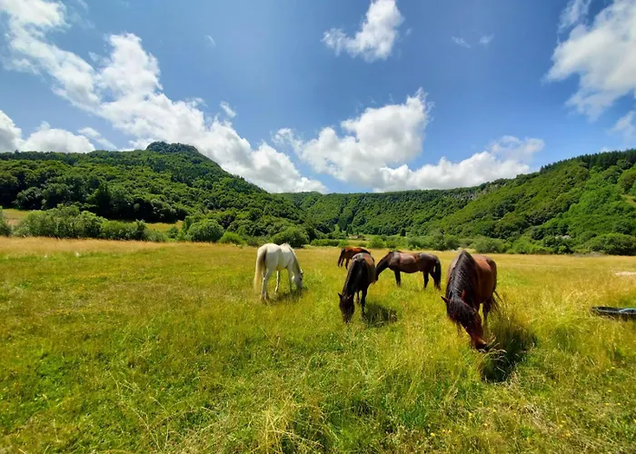 Sancy 3* Chambon-sur-Lac